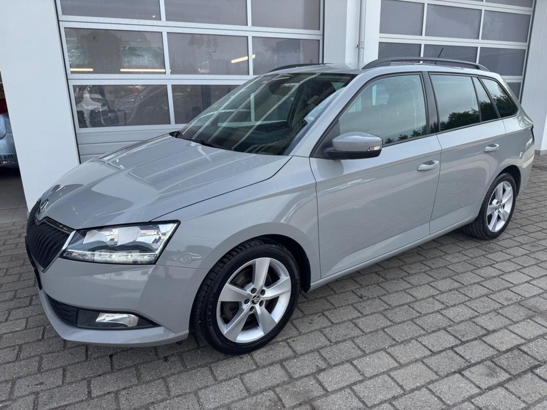 Skoda Fabia 1,0 TSi 95 Life Combi DSG hos Tumlinghøj Auto