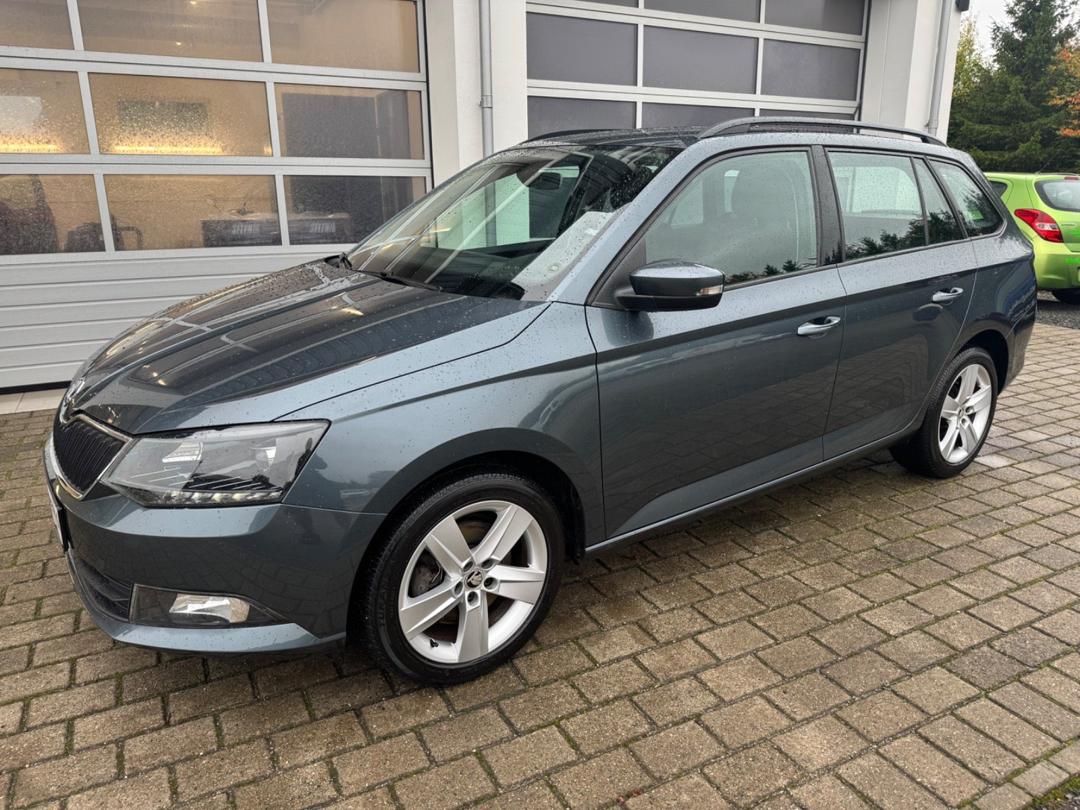 Skoda Fabia 1,2 TSi 110 Style Combi DSG hos Tumlinghøj Auto